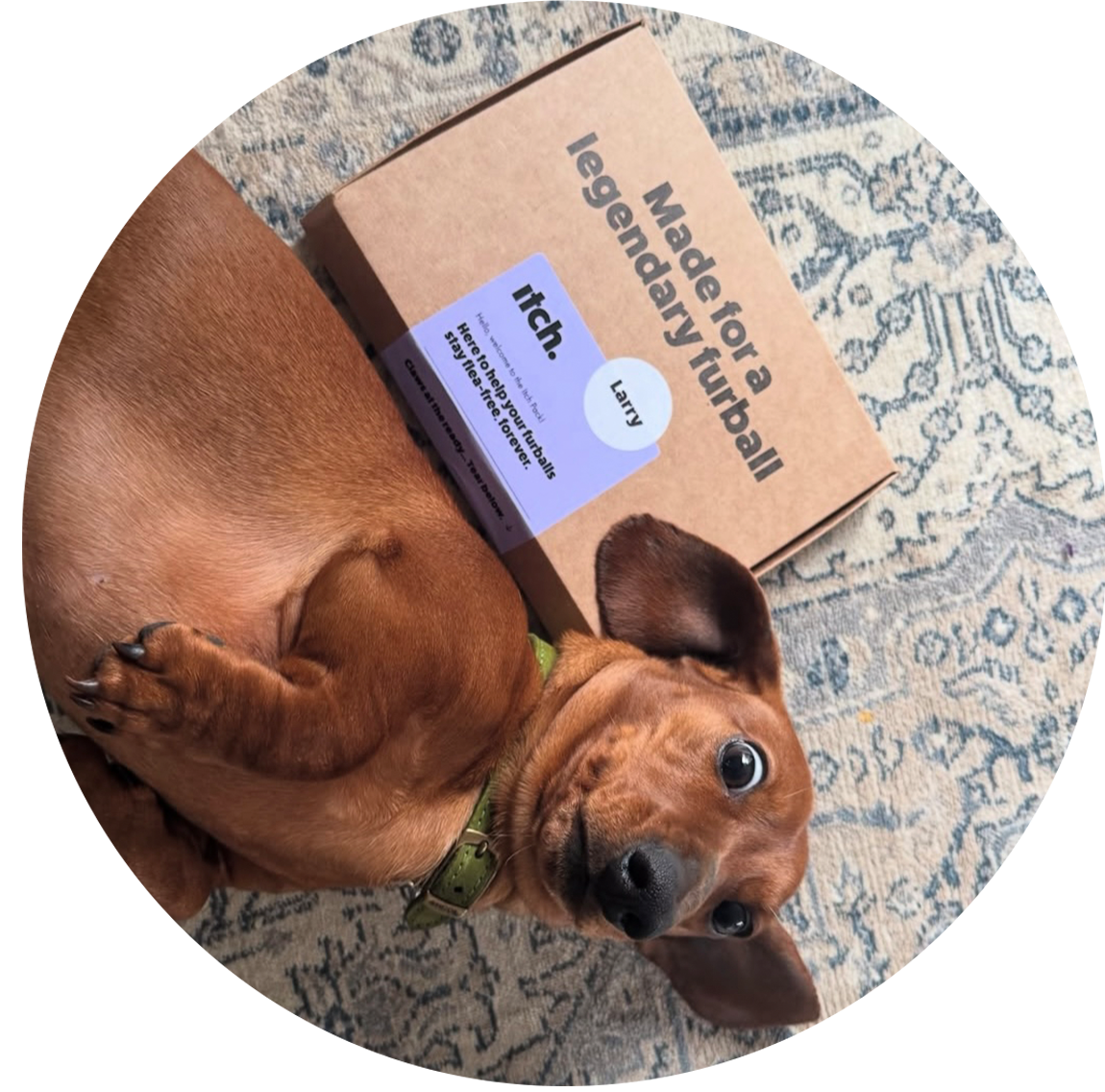 FAQ_Image_Subscription