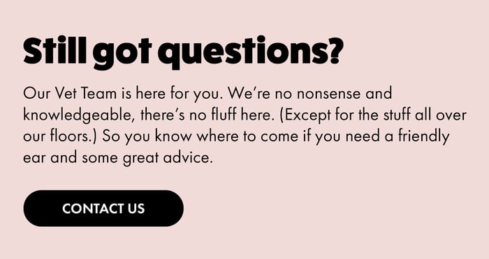 FAQ_any-_more_questions_copy