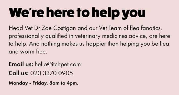 FAQ_zoe_section_copy