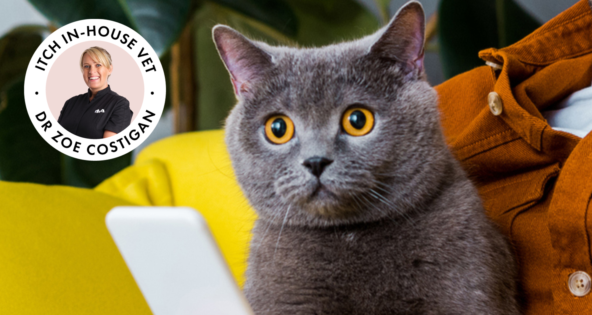 Any_more_questions_image (1)